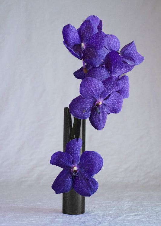 Slit Vase / EN Black Vintage