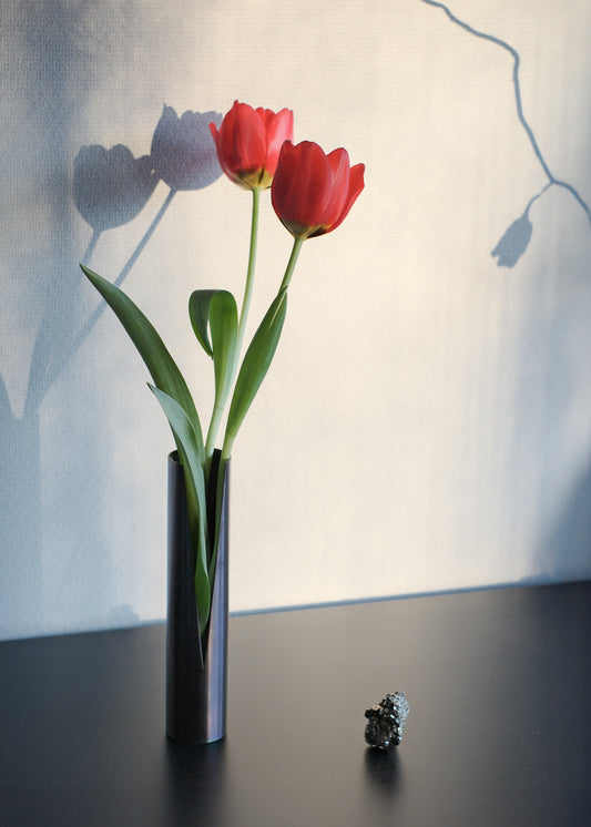 Slit Vase / EN Neon Mirror