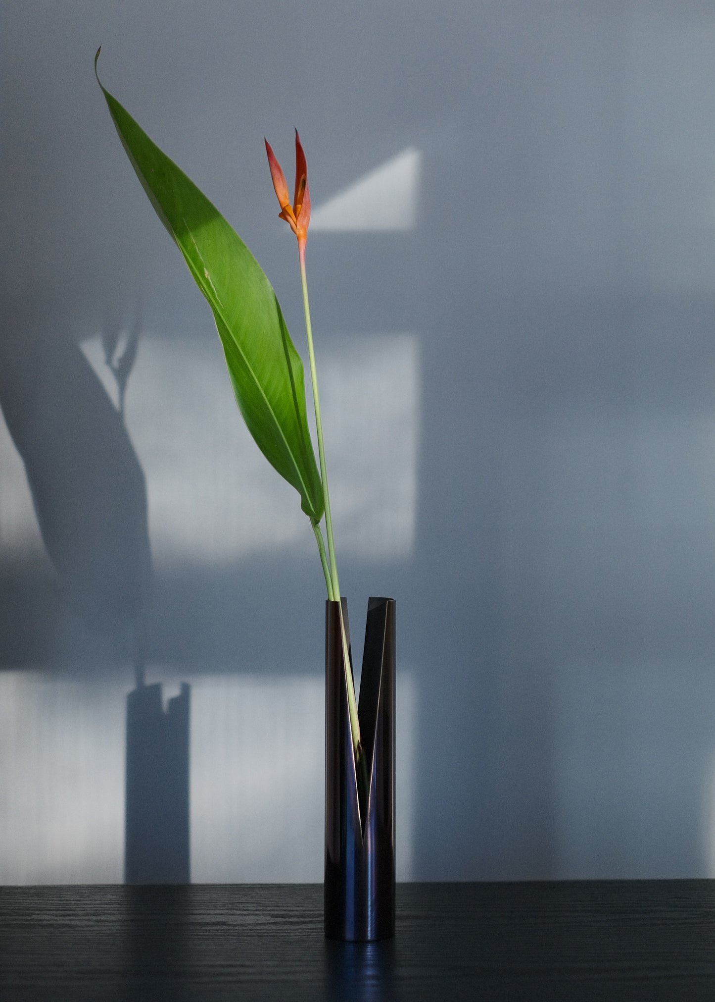 Slit Vase / EN Neon Mirror